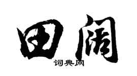 胡问遂田阔行书个性签名怎么写