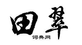 胡问遂田翠行书个性签名怎么写