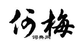 胡问遂何梅行书个性签名怎么写