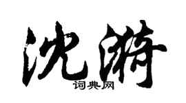 胡问遂沈漪行书个性签名怎么写