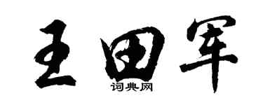 胡问遂王田军行书个性签名怎么写