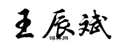 胡问遂王辰斌行书个性签名怎么写