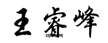 胡问遂王睿峰行书个性签名怎么写