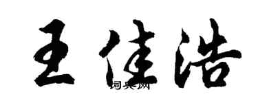 胡问遂王佳浩行书个性签名怎么写