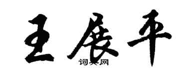 胡问遂王展平行书个性签名怎么写