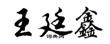 胡问遂王廷鑫行书个性签名怎么写