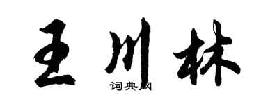 胡问遂王川林行书个性签名怎么写