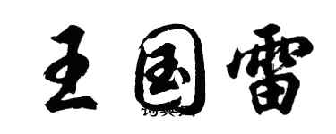 胡问遂王国雷行书个性签名怎么写