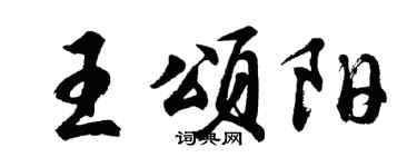 胡问遂王颂阳行书个性签名怎么写