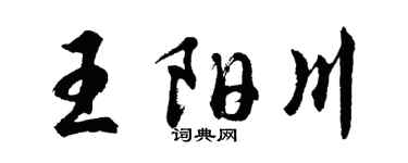 胡问遂王阳川行书个性签名怎么写