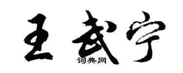 胡问遂王武宁行书个性签名怎么写