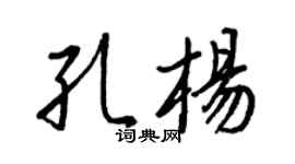 王正良孔杨行书个性签名怎么写