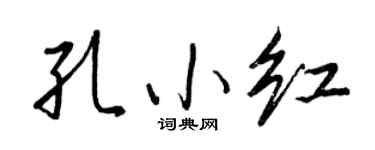 王正良孔小红行书个性签名怎么写