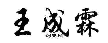 胡问遂王成霖行书个性签名怎么写