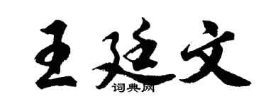 胡问遂王廷文行书个性签名怎么写