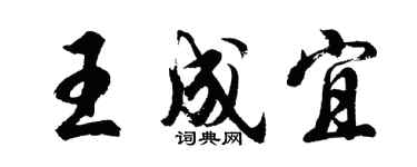 胡问遂王成宜行书个性签名怎么写