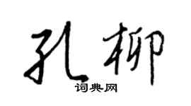 王正良孔柳行书个性签名怎么写