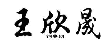 胡问遂王欣晟行书个性签名怎么写