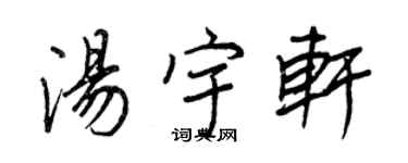 王正良汤宇轩行书个性签名怎么写