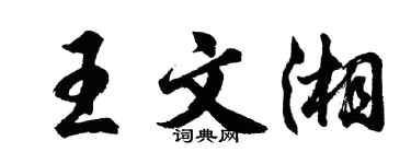 胡问遂王文湘行书个性签名怎么写