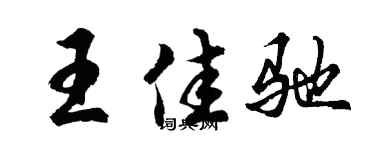 胡问遂王佳驰行书个性签名怎么写