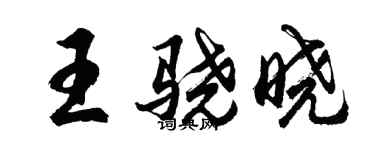 胡问遂王骁晓行书个性签名怎么写