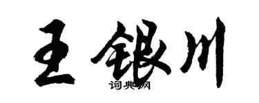 胡问遂王银川行书个性签名怎么写