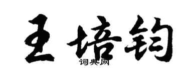 胡问遂王培钧行书个性签名怎么写