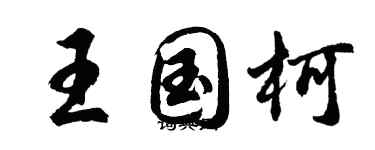 胡问遂王国柯行书个性签名怎么写