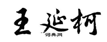 胡问遂王延柯行书个性签名怎么写