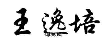 胡问遂王逸培行书个性签名怎么写