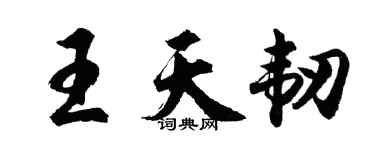 胡问遂王天韧行书个性签名怎么写