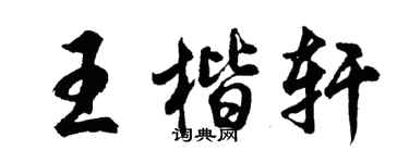 胡问遂王楷轩行书个性签名怎么写