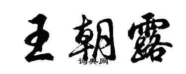 胡问遂王朝露行书个性签名怎么写