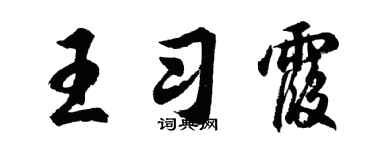 胡问遂王习霞行书个性签名怎么写