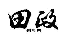 胡问遂田政行书个性签名怎么写