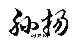 胡问遂孙扬行书个性签名怎么写