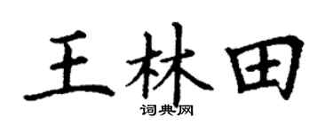 丁谦王林田楷书个性签名怎么写