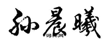 胡问遂孙晨曦行书个性签名怎么写