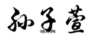 胡问遂孙子萱行书个性签名怎么写