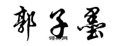 胡问遂郭子墨行书个性签名怎么写