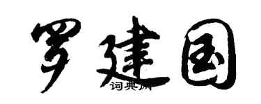 胡问遂罗建国行书个性签名怎么写