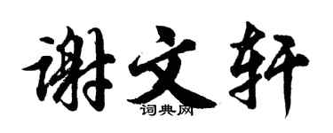 胡问遂谢文轩行书个性签名怎么写