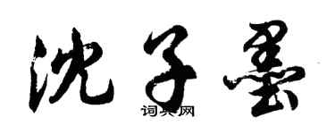 胡问遂沈子墨行书个性签名怎么写