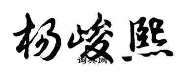 胡问遂杨峻熙行书个性签名怎么写