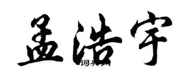 胡问遂孟浩宇行书个性签名怎么写