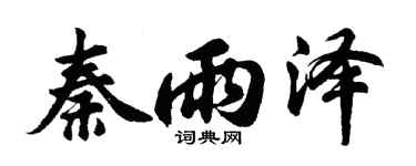 胡问遂秦雨泽行书个性签名怎么写