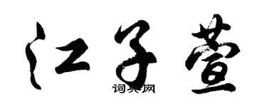 胡问遂江子萱行书个性签名怎么写