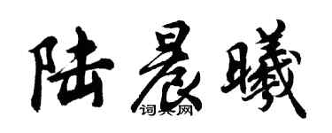 胡问遂陆晨曦行书个性签名怎么写