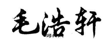 胡问遂毛浩轩行书个性签名怎么写